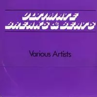 V.A./The Ultimate Fast BeatsレコードLP95年名盤 V.A./The Ultimate Fast BeatsレコードLP95年名盤 V.A./The Ultimate