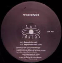WISESENSEI / BEYOND THE WALLS
