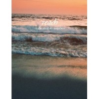 V.A. (HYDEOUT PRODUCTIONS & NUJABES presents) / REACH - DEDICATED TO NUJABES (BOOK)