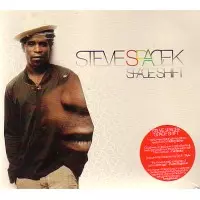 STEVE SPACEK / スティーヴ・スペイセック / SPACE SHIFT