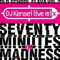 DJ KENSEI / OLD SCHOOL FLAVA VOL.2 (オリジナル盤)