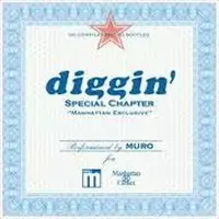 DIGGIN' SPECIAL CHAPTER/DJ MURO/DJムロ｜HIPHOP/R&B｜ディスク