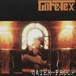 GORE-TEX / WATER PROOF / ウォ-タ-プル-フ