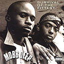 MOBB DEEP / モブ・ディープ / SURVIVAL OF THE FITTEST