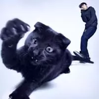 TAMAKI ROY / 環ROY / あっちとこっち