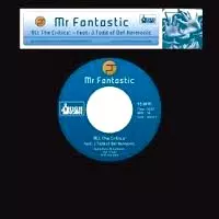 MR.FANTASTIC商品一覧｜ディスクユニオン・オンラインショップ