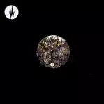 MONO / POLY / MANIFESTATIONS EP