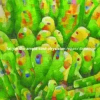 洋楽 Fat Jon / Repaint Tomorrow 2LP Fat Jon The Ample Soul Physician – Repaint Tomorrow – 2 x