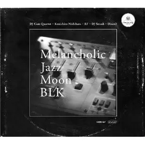 ORGANIC HIP HOP (JAZZY HIPHOP)/1/並び順:発売日/20件表示/（2/4