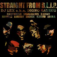 DJ LEX aka LAUREN X / DJ LEX / STRAIGHT FROM D.L.I.P.  通常盤