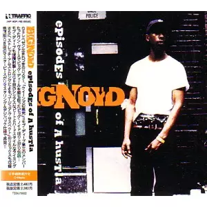 BIG NOYD / ビッグ・ノイド商品一覧｜ディスクユニオン