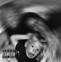 COPYWRITE / THE LIFE AND TIMES OF PETER NELSON