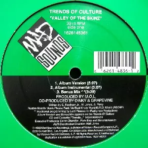 VALLEY OF THE SKINZ/TRENDS OF CULTURE｜HIPHOP/R&B｜ディスク