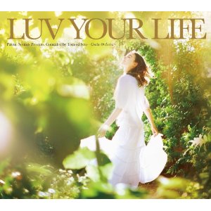 V.A. (LUV YOUR LIFE) / LUV YOUR LIFE