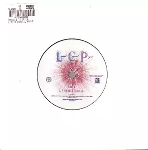 LIQUID CRYSTAL PROJECT / リキッド・クリスタル・プロジェクト