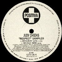 JUDY CHEEKS / ジュディ・チークス / RESPECT SAMPLER