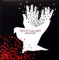 TERRY CALLIER / テリー・キャリアー / RUNNING AROUND MONUMENTS OF MARS
