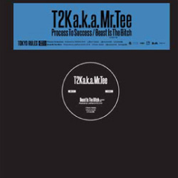 T2K (a.k.a. Mr.Tee) / Process To Success