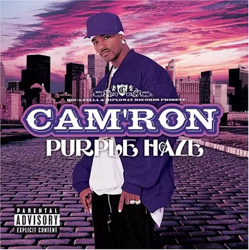Cam'ron Purple Haze レコード LP PURPLE HAZE/CAM'RON｜HIPHOP/R&B｜ディスクユニオン・オンライン