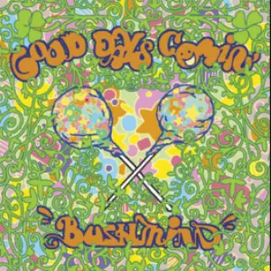 BUSHMIND / GOOD DAYS COMIN' - アナログ2LP -