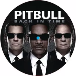 BACK IN TIME REMIXES/PITBULL/ピットブル｜HIPHOP/R&B｜ディスク