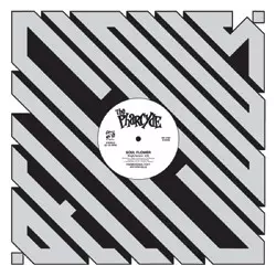 SOUL FLOWER (REMIX) (7