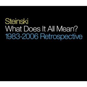 STEINSKI / スタインスキー / WHAT DOES IT ALL MEAN? 2CD 国内帯解説