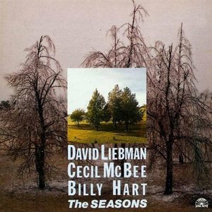 DAVE LIEBMAN (DAVID LIEBMAN) / デイヴ・リーブマン / Seasons