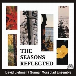 DAVE LIEBMAN (DAVID LIEBMAN) / デイヴ・リーブマン / The Seasons Reflected