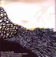 SIN / FOUNTAIHEAD OF A MUDDY STREAM