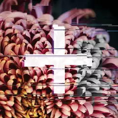FOREIGN EXCHANGE / フォーリン・エクスチェンジ / REWORKS 2CD