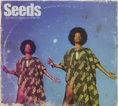 GEORGIA ANNE MULDROW / ジョージア・アン・マルドロウ / SEEDS  "2LP"