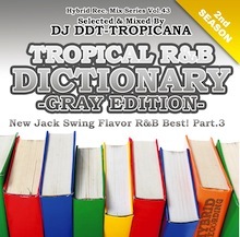 DJ DDT-TROPICANA / DICTIONARY -Gray Edition-