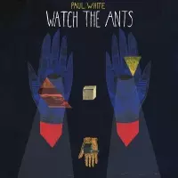 PAUL WHITE / WATCH THE ANTS アナログLP
