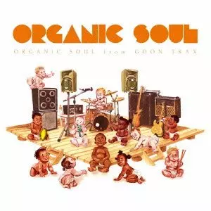 V.A. (ORGANIC SOUL) / ORGANIC SOUL