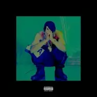 BIG SEAN / ビッグ・ショーン商品一覧｜ディスクユニオン