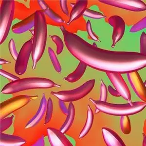 V.A. (AMADA) / mamiko motto presents AMADA (CD)