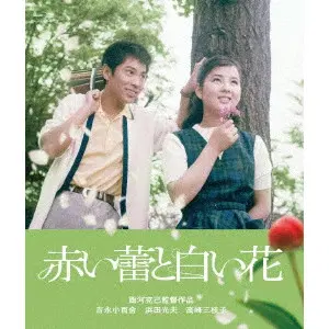 西河克己 / 赤い蕾と白い花