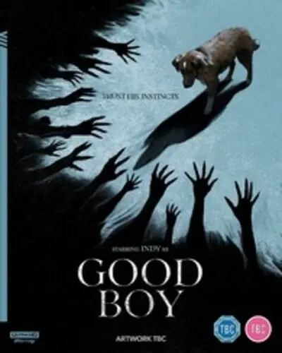 BEN LEONBERG / ベン・レオンバーグ / GOOD BOY 4K UHD