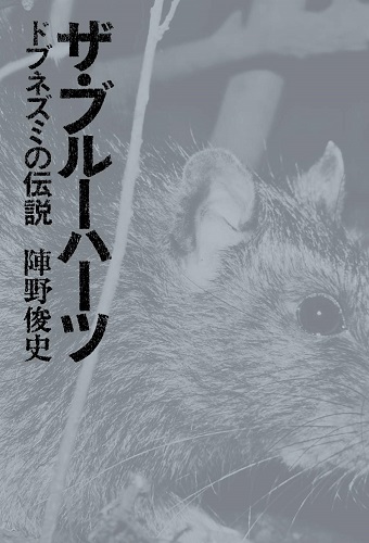 陣野俊史 / ザ・ブルーハーツ ドブネズミの伝説