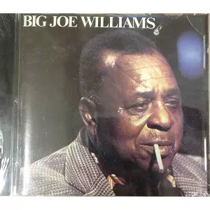 BIG JOE WILLIAMS / ビッグ・ジョー・ウィリアムズ / BIG JOE WILLIAMS