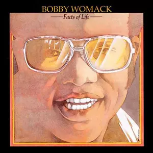 ファクツ・オブ・ライフ/BOBBY WOMACK/ボビー・ウーマック/国内盤 帯