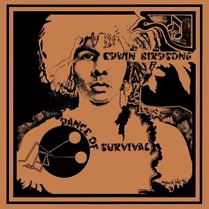 Edwin Birdsong レアグルーヴ　FUNK ROCK ロイ・エアーズ Edwin Birdsong レアグルーヴ FUNK ROCK ロイ・エアーズ About