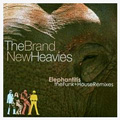 BRAND NEW HEAVIES / ブラン・ニュー・ヘヴィーズ / ELEPHANTITIS