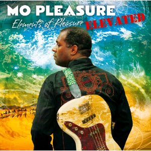 Elements Of Pleasure Elevated エレメンツ オブ プレジャー 国内盤 帯 解説 歌詞 対訳付 Mo Pleasure モー プレジャー Soul Blues Gospel ディスクユニオン オンラインショップ Diskunion Net