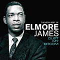 ELMORE JAMES / エルモア・ジェイムス / DUST MY BROOM / ダスト・マイ・ブルーム
