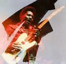 ALBERT COLLINS / アルバート・コリンズ / フロ－ズンアライヴ