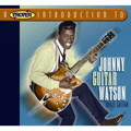 JOHNNY GUITAR WATSON / ジョニー・ギター・ワトスン / PROPER INTRODUCTION TO JOHNNY GUITER WATSON: SPACE GUITAR