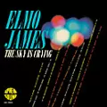 ザ・スカイ・イズ・クライング (紙ジャケ)/ELMORE JAMES/エルモア