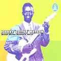JOHNNY GUITAR WATSON / ジョニー・ギター・ワトスン / GREAT BLUES MASTERS VOL.8 / グレイト・ブルース・マスターズ VOL.8